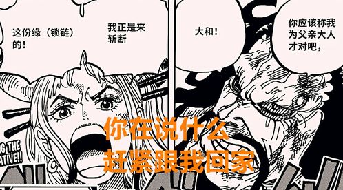 海賊王1015話 大和上船已成事實,路飛進入摸魚狀態,娜美開掛了